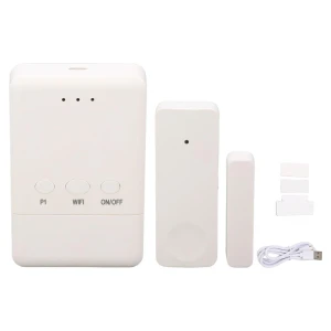 Garage Door Opener, Neoglint