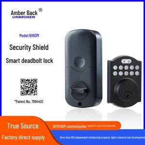 Electronic Smart Deadbolt Lock — Smart Lock, StrideBox