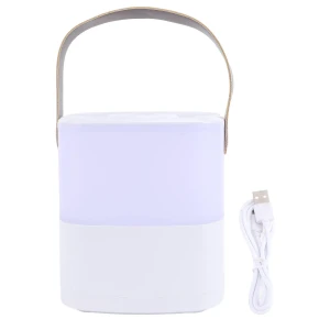 Adjustable Touch Lamp with Handle, Pc1ZY
