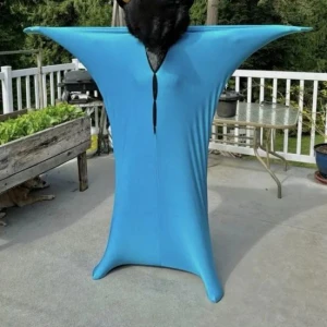 Dynamic Motion Kids Socks with Sensory Effect, Cetus