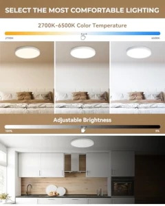 Flush Mount Ceiling Light