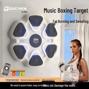 Electronic Smart Boxing Target — Smart Boxing Trainer, Super Go