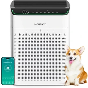 Air Purifier for Large Room — Air Purifier, MORENTO