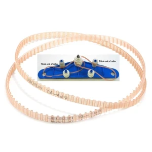 Pool Cleaner Robot Belt, Two Shy Girl