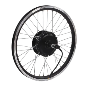 20-inch Rear Wheel Waterproof Electric Bike Conversion Kit, Sport2ZY