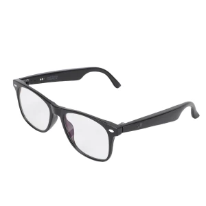 AI Translator Glasses, Begetting