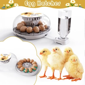 Automatic Egg Incubator with 360° Transparent Window, Didadi 2
