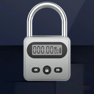 Multi Function Security Lock — Smart Lock, Xfvnklop04