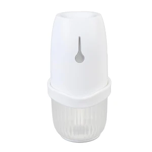 Aromatherapy Diffuser, Begetting