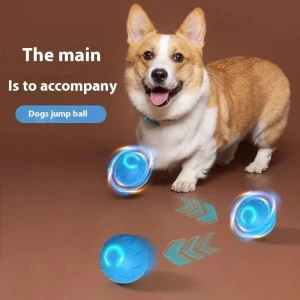 Smart Interactive Rolling Cat Ball Toy — Automatic Cat Toy, uachnmfs