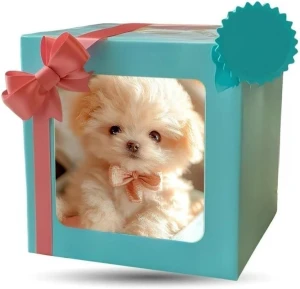 Robot Dog, Japan Zen Mall