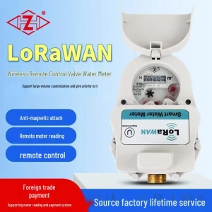 Remote Water Valve and Meter, Discount Domain