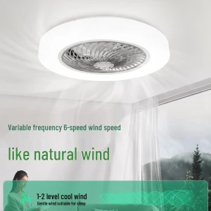 Modern Minimalist Smart Ceiling Fan with Lighting, ElectroCN