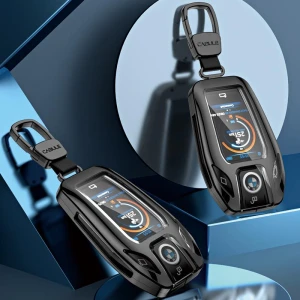 LCD Key Shell Case, Discount Domain