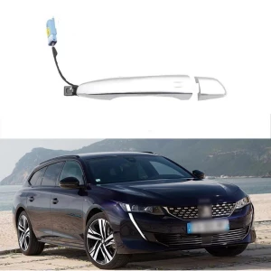 Sensor Handle, Discount Domain