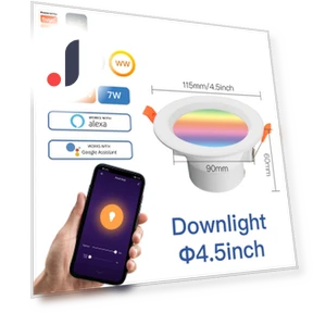 Smart LED Ceiling Light — Overhead Lighting, Cosy Homes