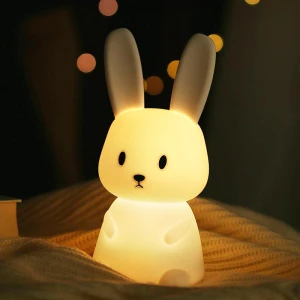 LED Night Light, Binchi Lighting Appliances