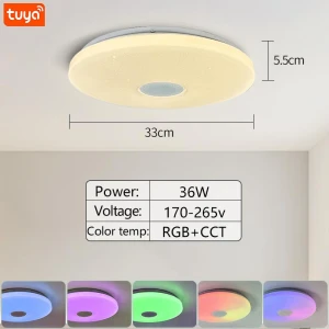 Smart Ceiling Light, Rainbow Rain