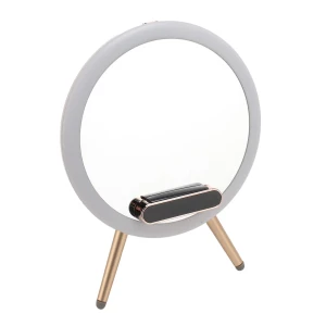 AI-Powered Smart Makeup Mirror, DIYelecs