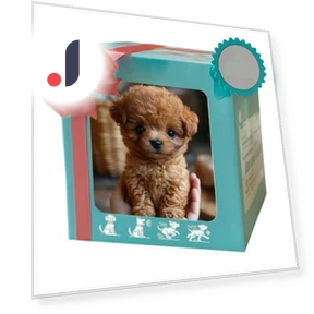 Electric Pet Robot Dog — Interactive Animal Companions, EDC Toy