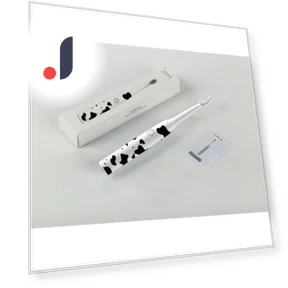 Electric Smart Toothbrush — Electric Toothbrush Heads, Binchi Health Technology
