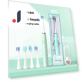 Electric Sonic Toothbrush for Adults and Couples — Chargers, Binchi Health Technology