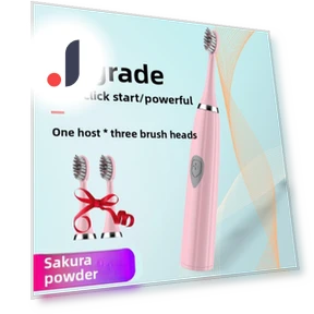 Electric Toothbrush — Electric Toothbrush Heads, Binchi Health Technology