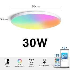 RGB LED Smart Ceiling Light, Rainbow Rain