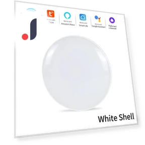 Smart WiFi Ceiling Light — Ceiling Fan Lighting Solutions, Build My Home