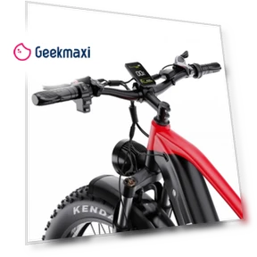 26*4.0 Inch Fat Tire Electric Bike — Electric Self-Balancing Scooters, DUOTTS