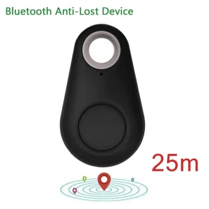 Mini GPS Tracker, Timeless Home