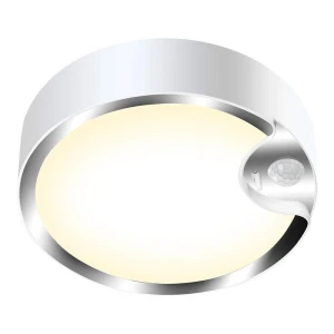 Motion Sensor Ceiling Light, PawHaven