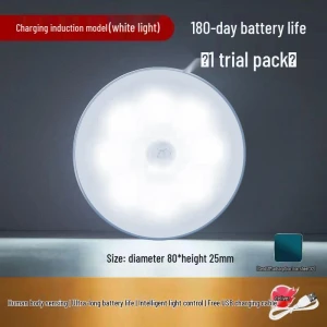 Smart Motion Sensor Night Light, the BAY