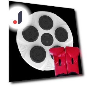 Bluetooth Connected Smart Boxing Trainer — Boxing Training Gear, Binchi Keji Travel