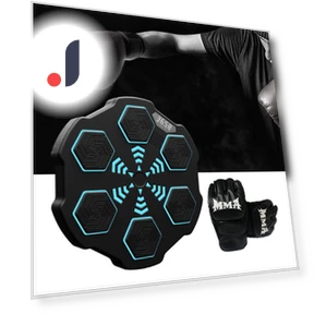 Smart Electronic Boxing Target — Boxing Training Gear, Binchi Keji Travel