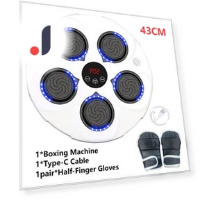Smart Music Boxing Machine — Home Gyms, Binchi Keji Travel