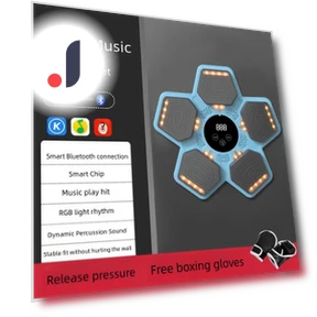 Smart Musical Boxing Machine — Boxing Training Gear, Binchi Keji Travel
