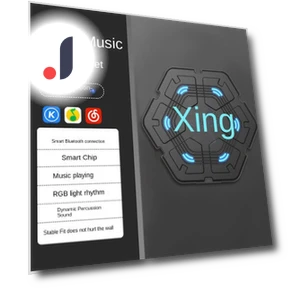 Smart Musical Boxing Trainer — Boxing Training Gear, Binchi Outdoor Equipment