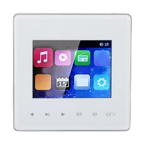 Smart Bluetooth Wall Amplifier, OutsideWorld