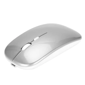 Ergonomic Wireless Rechargeable Silent Mouse, DIYelecs