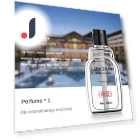 Induction Diffuser for Smart Body — Diffusers, Peri