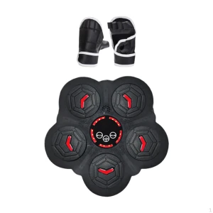 Musical Boxing Trainer, HappyToy