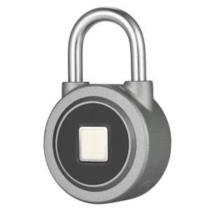 Smart Fingerprint Lock, Igeteck