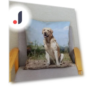 Smart Labrador Retriever Pillow Cover — Pillow Covers, zheyu