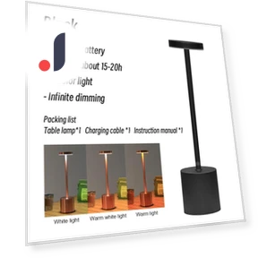 Rechargeable Touch LED Desk Lamp — Study & Desk Lighting, YWZT Decorative lights