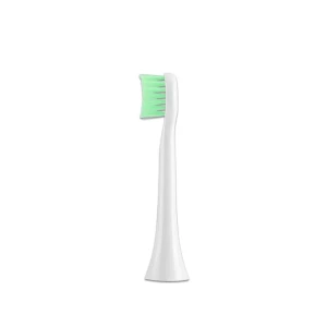 Electric Sonic Toothbrush for Adults — Electric Toothbrush, Light makeup