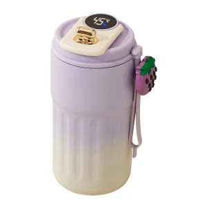 Vacuum Thermo Mug with Temperature Display — Smart Water Bottle, FINE DAY