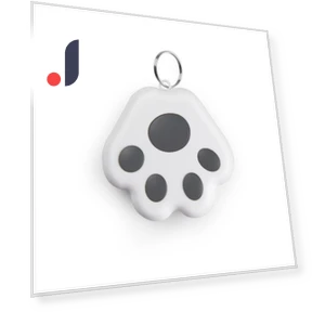 Bluetooth Anti-Loss Smart Keychain — Item Locators, G KE