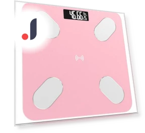 Smart Body Index Scale — Weight Management Tools, Essager Electronic