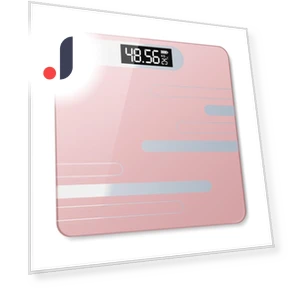Smart Electronic Body Scale — Weight Management Tools, DC-Home-2